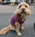 Medium Cocoa and Purple Checkered Cowl Neck
